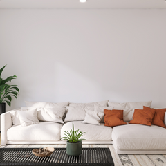 Elegant Couch